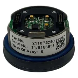 H2S 100 PPM
