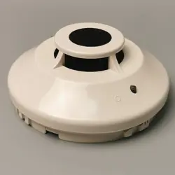 DETECTOR FREE DELIVERY