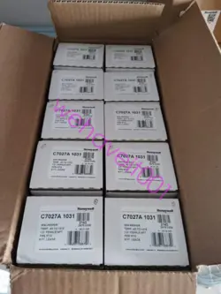 1031 EXPEDITED SHIPPING#L