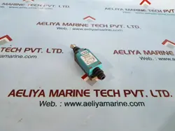10A 250V