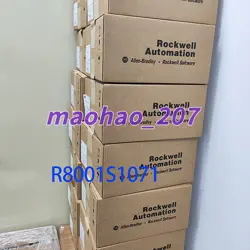 R8001S1071