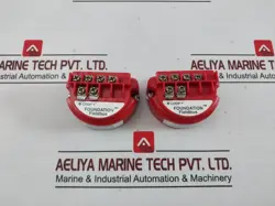 FOUNDATION FIELDBUS TEMPERATURE