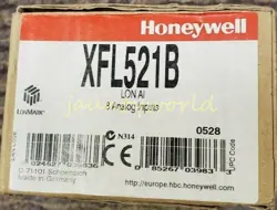 INPUT MODULE XFL521B