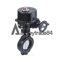 V8BFW16-250+NOM-5A-E DN250 BUTTERFLY