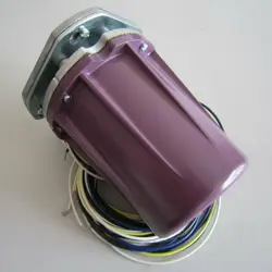 HONEYWELL C7012A1194 FLAME
