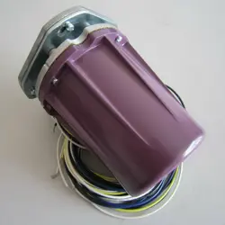 DETECTOR