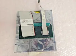 T1 51304868