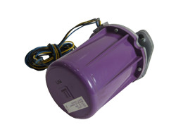 DETECTOR 120V