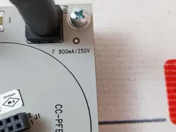 259962