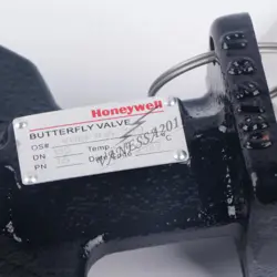 DN150 BUTTERFLY