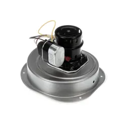 BLW01370- GENUINE OEM