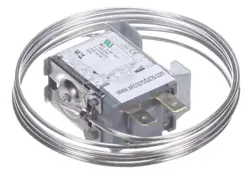 C122872P02 X13100067020 THERMOSTAT