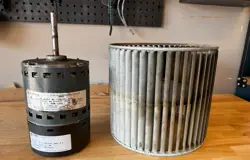 D341314P50 MOT09618 BLOWER