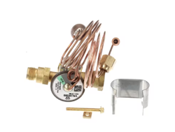 S54917694006 THERMOSTATIC EXPANSION