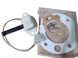 SURFACE IGNITOR 115V