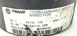TRANE D341314P05 MOT09233