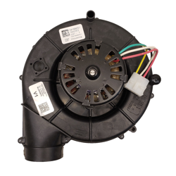 X38010571010 D342097P01