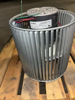 DD11-11 SQUIRREL CAGE   TRANE X38020438010 CCW CC 1/2