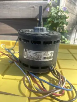 MOTOR D340126P02 FREE