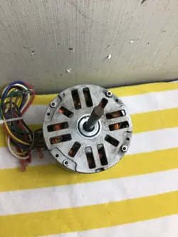MOTOR FREE