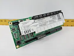 EMERSON MULTIFLEX INPUT