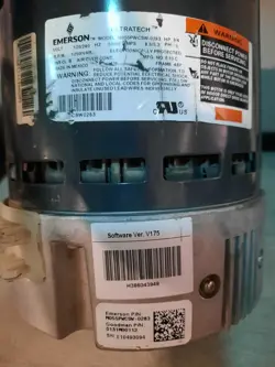 3/4 HP
