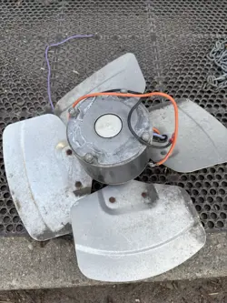 USED MODEL