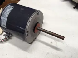 AMP