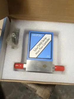 FC-2900V 100SCCM
