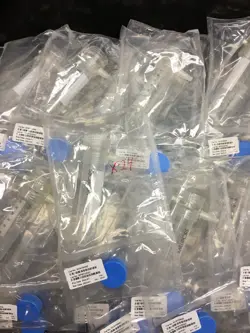 STERIFLIP STERILE