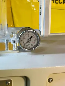 29751