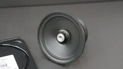 DIAPHRAGM