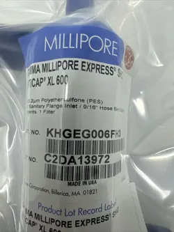 XL 600 CAPSULE