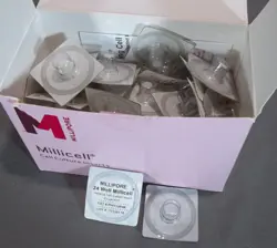 PKG-35 24-WELL MILLICELL HANGING CELL TISSUE CULTURE INSERTS 0.4UM PET PIHT12R48