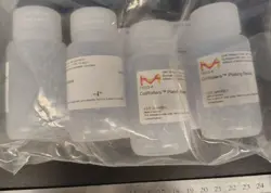 PACK OF NEW