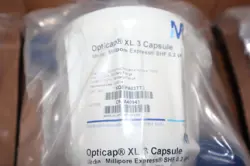 CAPSULE