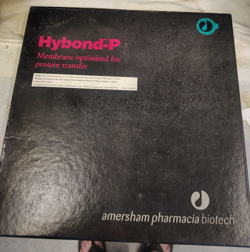 AMERSHAM HYBOND-P PROTIEN TRANSFER MEMBRANE OPEN PACK BG