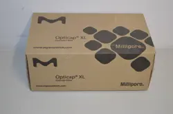 XL 10