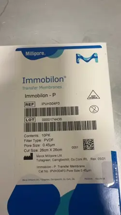 IMMOBILON-P PVDF MEMBRANE