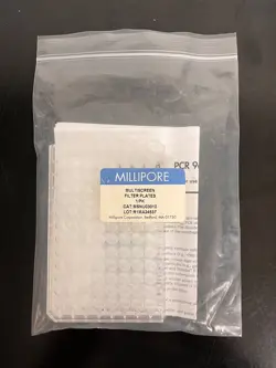 PCR96