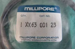 XX6200036