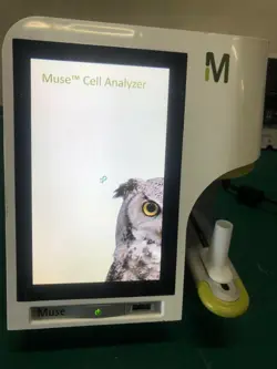 ANALYZER WORKING GOOD!