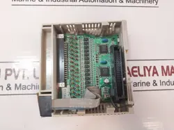 MODULE 24V