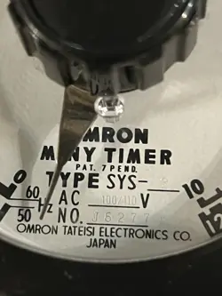 TIMER 100/110V