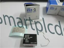 MODULE E53-Q~