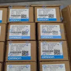 E5CC-RX2DSM-800 NEW IN