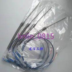 THERMOCOUPLE E52-CA15ASY 1M