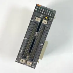 MODULE CJ1WID261 64