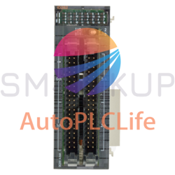 CJ1W-ID262 PLC MODULE
