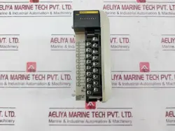 MODULE 250VAC 24VDC